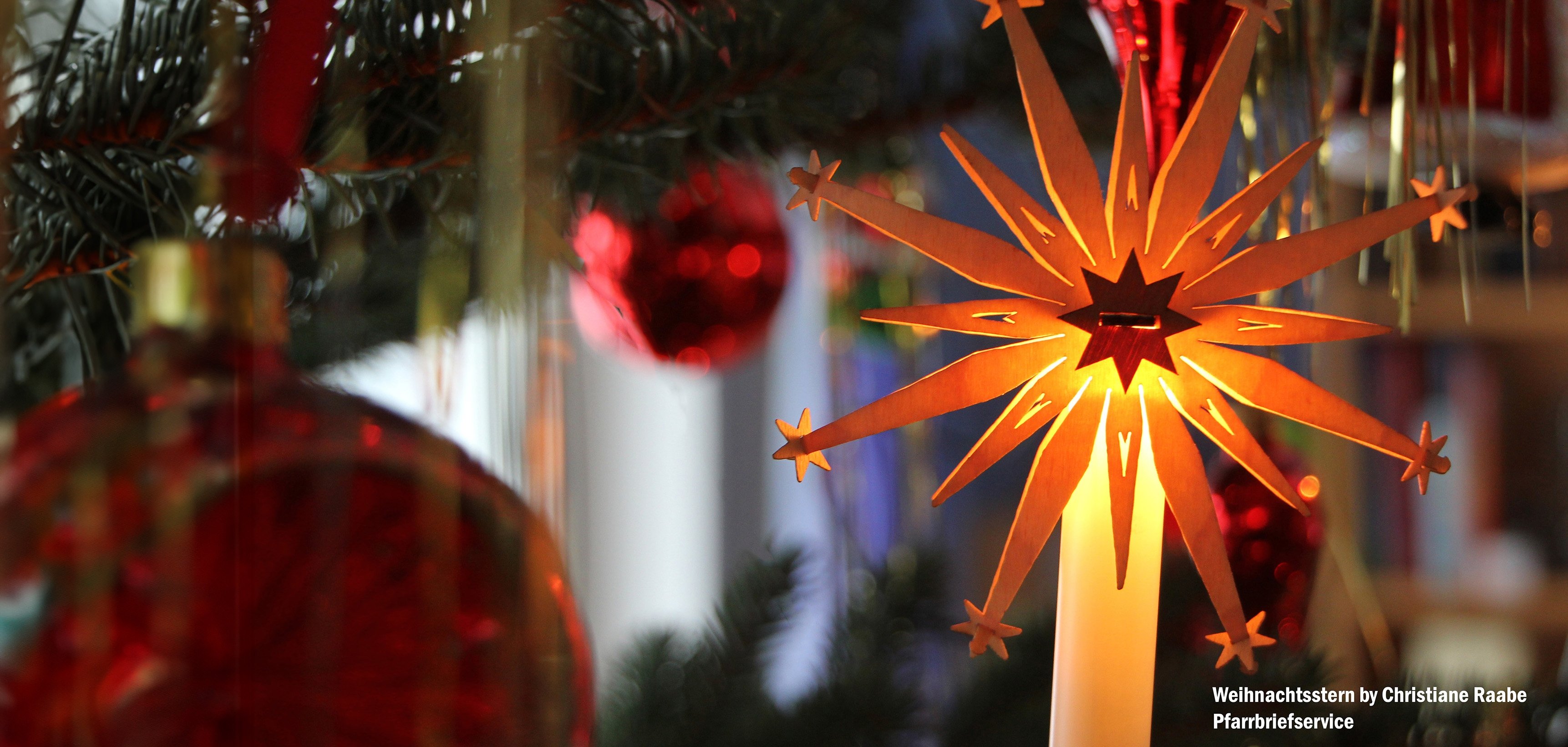 Foto Weihnachtsstern