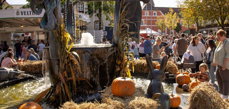 Foto Marktbrunnen am Bauernmarkt