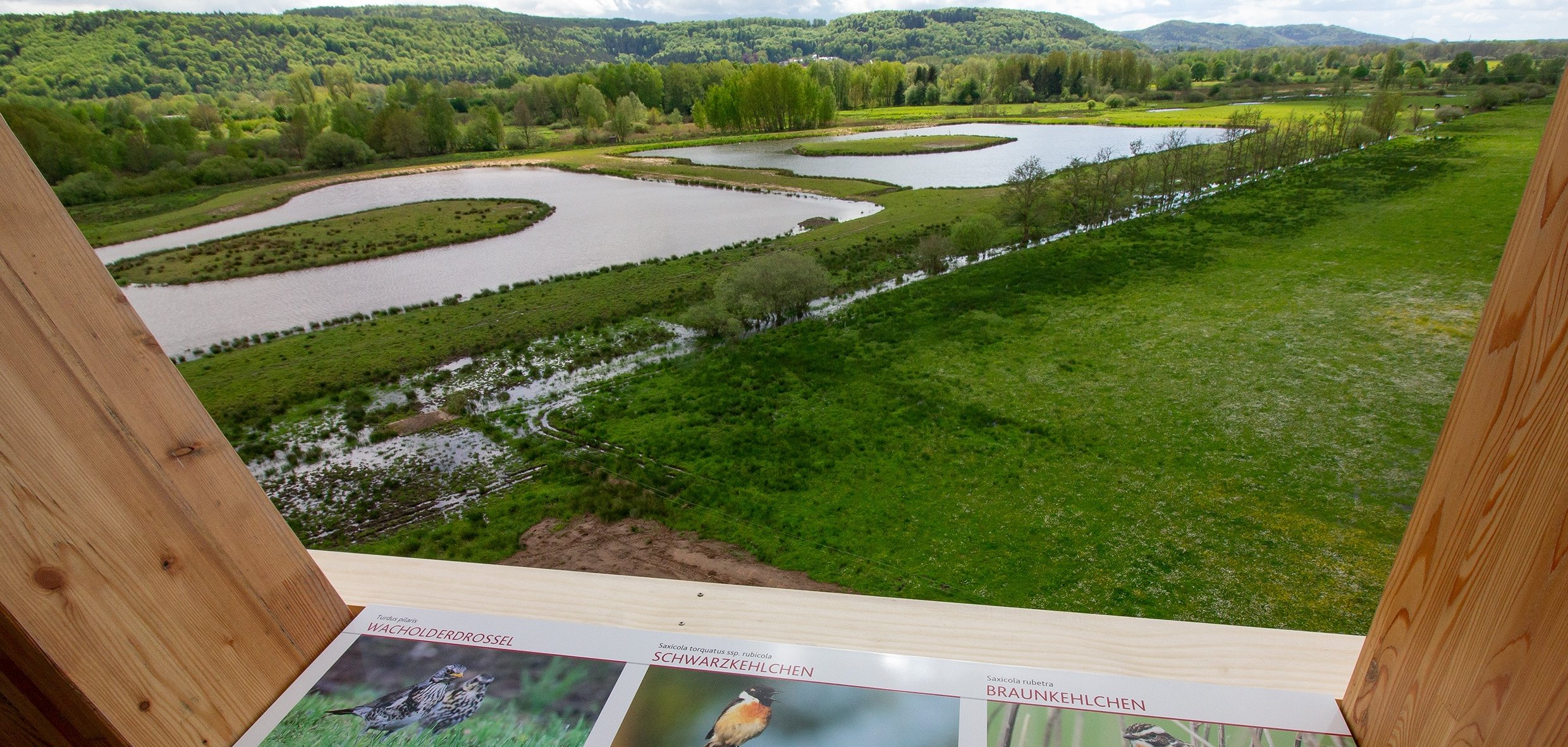 Blick vom Aussichtsturm Kranichwoog