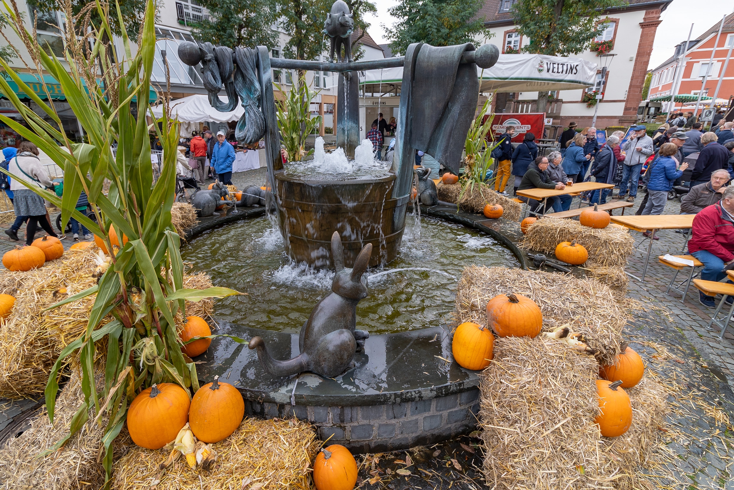 Foto vom Bauernmarkt 2024