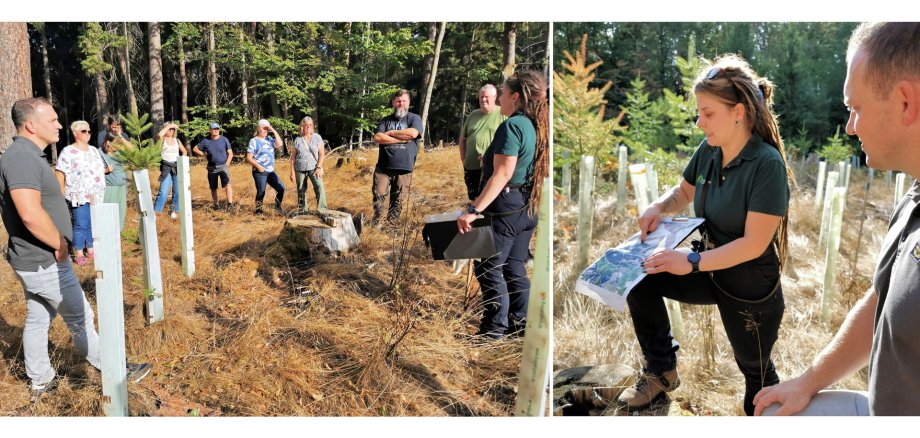 Fotos der Waldbegehung in Hütschenhausen