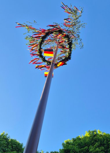 Freiheitsbaum