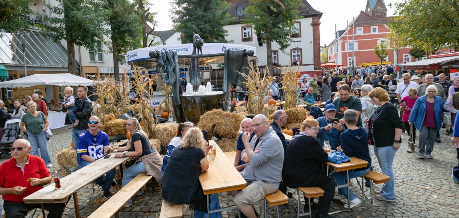 Rund um den Marktbrunnen