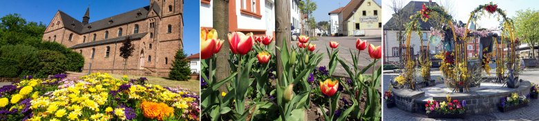 Bildmontage Pflanzen in Ramstein